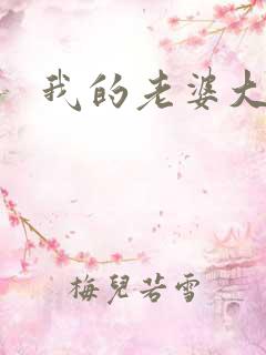 我的老婆大人们