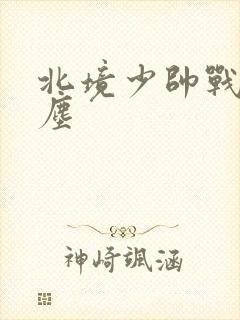 北境少帅战神苏尘