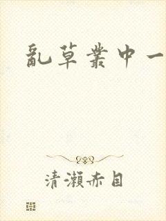 乱草丛中一杆枪