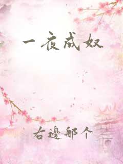 一夜成奴