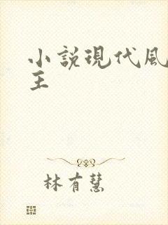 小说现代风流霸主