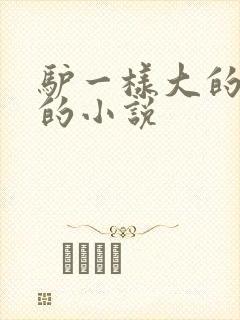 驴一样大的凶器的小说