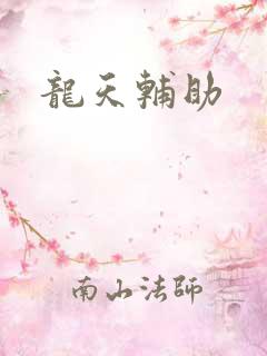 龙天辅助