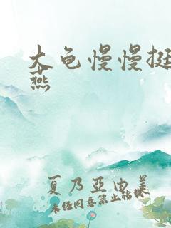 大龟慢慢挺进张燕