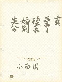 先婚后爱霸道老公别来了