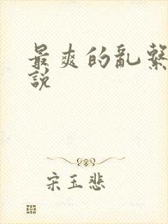 最爽的乱系列小说