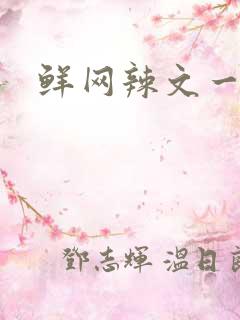鲜网辣文一对一