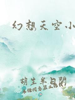 幻想天空小说网