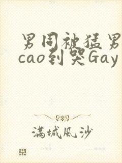 男同被猛男房东cao到哭Gay