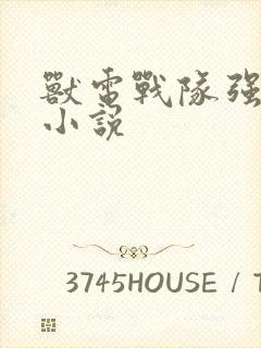 兽电战队强龙者小说