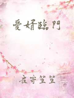爱婿临门