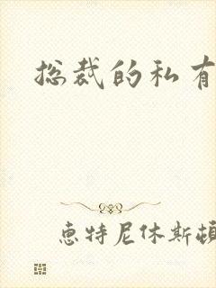 总裁的私有宝贝