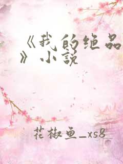 《我的绝品韵母》小说