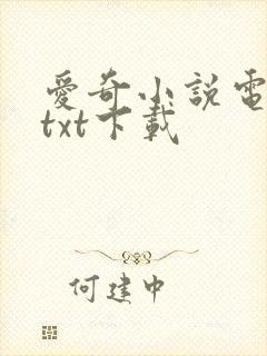 爱奇小说电子书txt下载