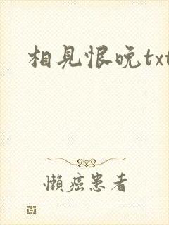 相见恨晚txt