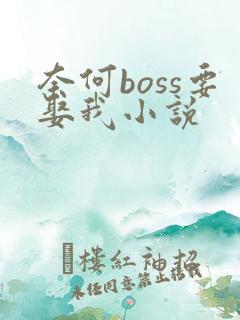 奈何boss要娶我小说