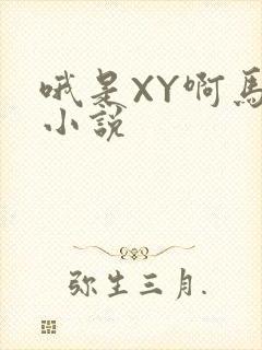 哦是XY啊马仔小说