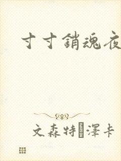 寸寸销魂夜春光