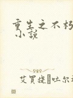 重生之不朽传奇 小说