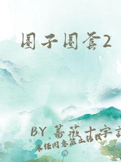 圈子圈套2