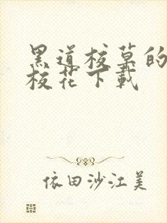 黑道校草的黑道校花下载