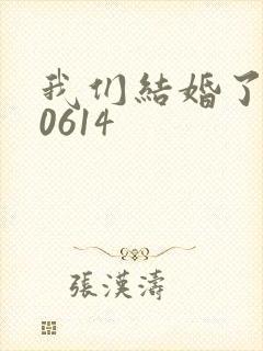 我们结婚了130614