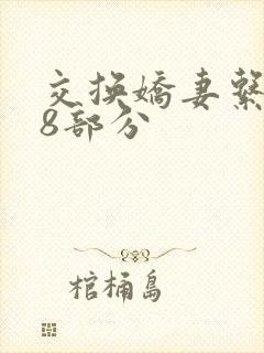 交换娇妻系列38部分