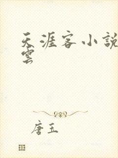 天涯客小说百度云