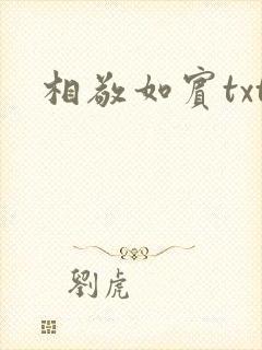 相敬如宾txt