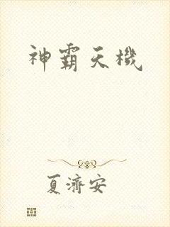 神霸天机