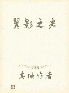 翼影之光