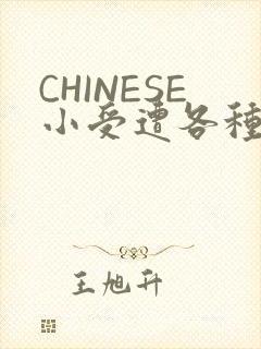 CHINESE小受遭各种打桩