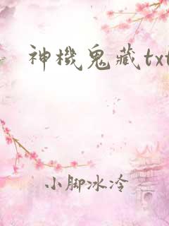 神机鬼藏txt