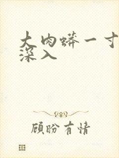 大肉蟒一寸寸地深入