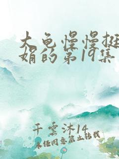 大龟慢慢挺进张娟的第19集