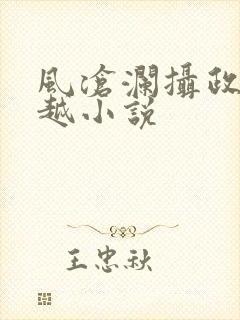 风沧澜摄政王穿越小说