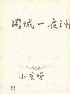同城一夜i情