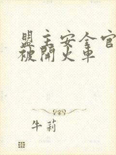 盟主安全官泰国被开火车