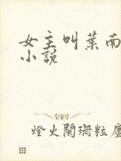 女主叫叶南初的小说