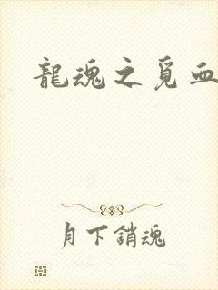 龙魂之觅血心缘