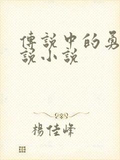 传说中的勇者传说小说