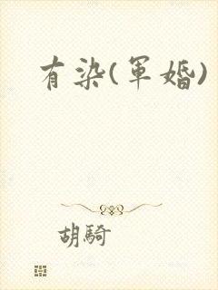 有染(军婚)