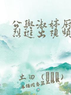 公与淑婷厨房猛烈进出视频