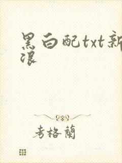 黑白配txt新浪
