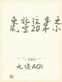 东北往事之黑道风云20年小说