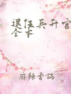 退伍兵升官记 全本