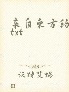 来自东方的骑士txt