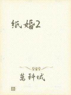 纸婚2
