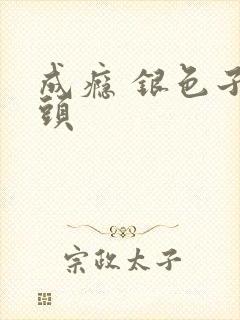 成瘾 银色子弹头