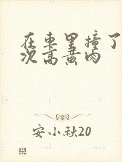 在车里撞了我八次高黄肉